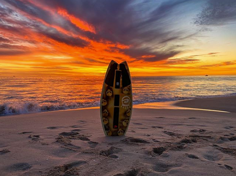 Skimboards Star Surf + Skate